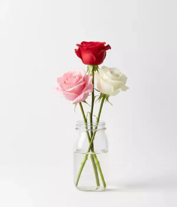 Mixed Rose Garden from Mel's Flowers AU