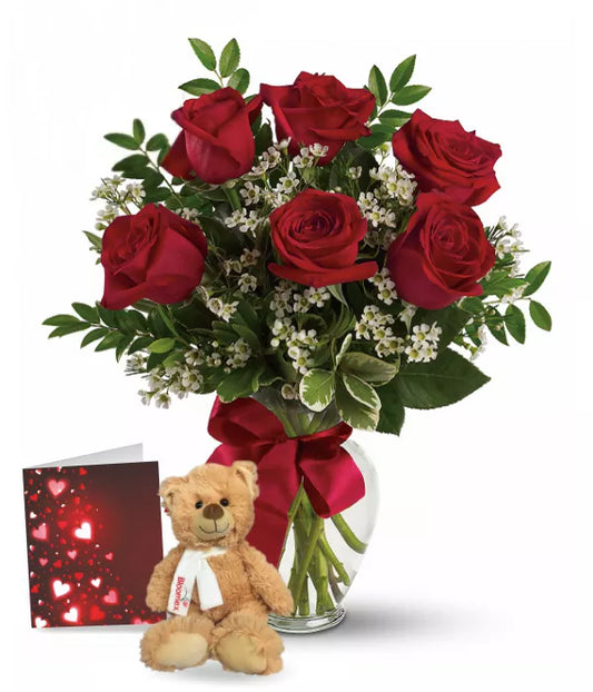 6 Red Roses, Vase & Teddy