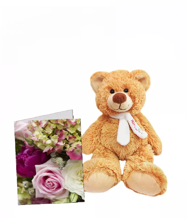 Card & Teddy