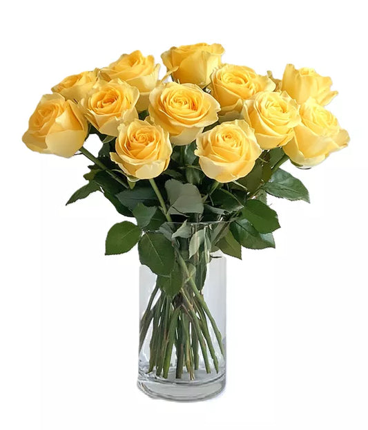 Dozen Long Stemmed Yellow Roses