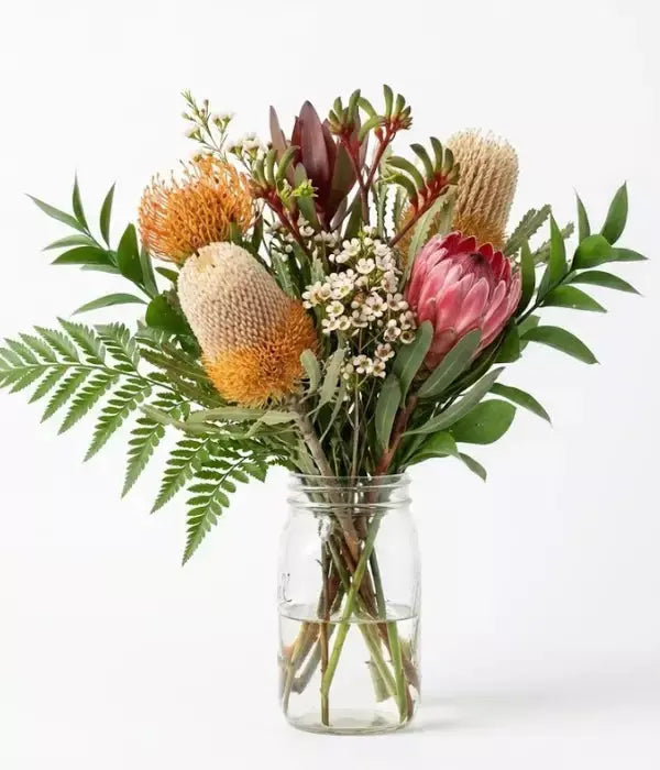 Backyard Natives from Mel's Flowers AU