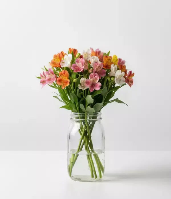30 Peruvian Lilies from Mel's Flowers AU