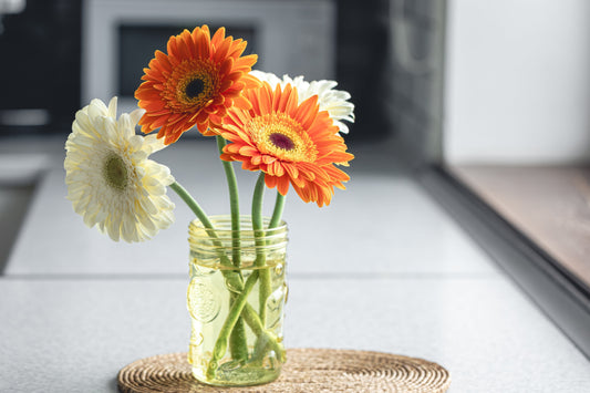 The Mason Jar: Our Most Deliberate Decision