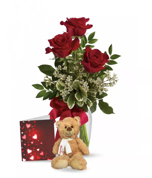 Red Rose Trio, Card & Teddy
