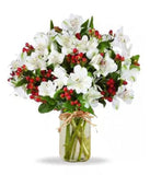 50 Festive Peruvian Lilies from Mel's Flowers AU