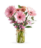 Shades of Pink in Mason Jar